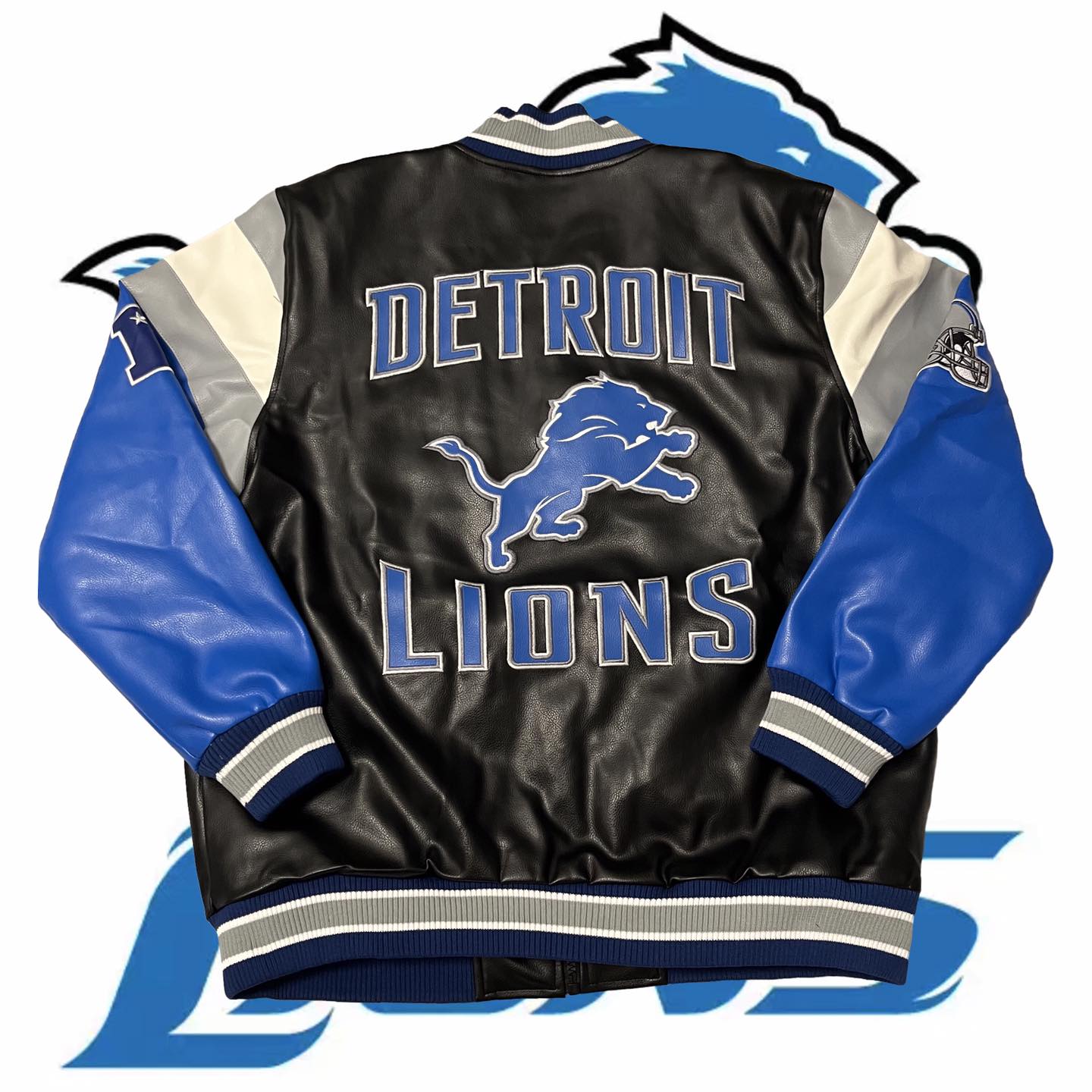 LEE & NASA| N## | LIONS 🦁 | FALCONS 🦅 | JET🛩