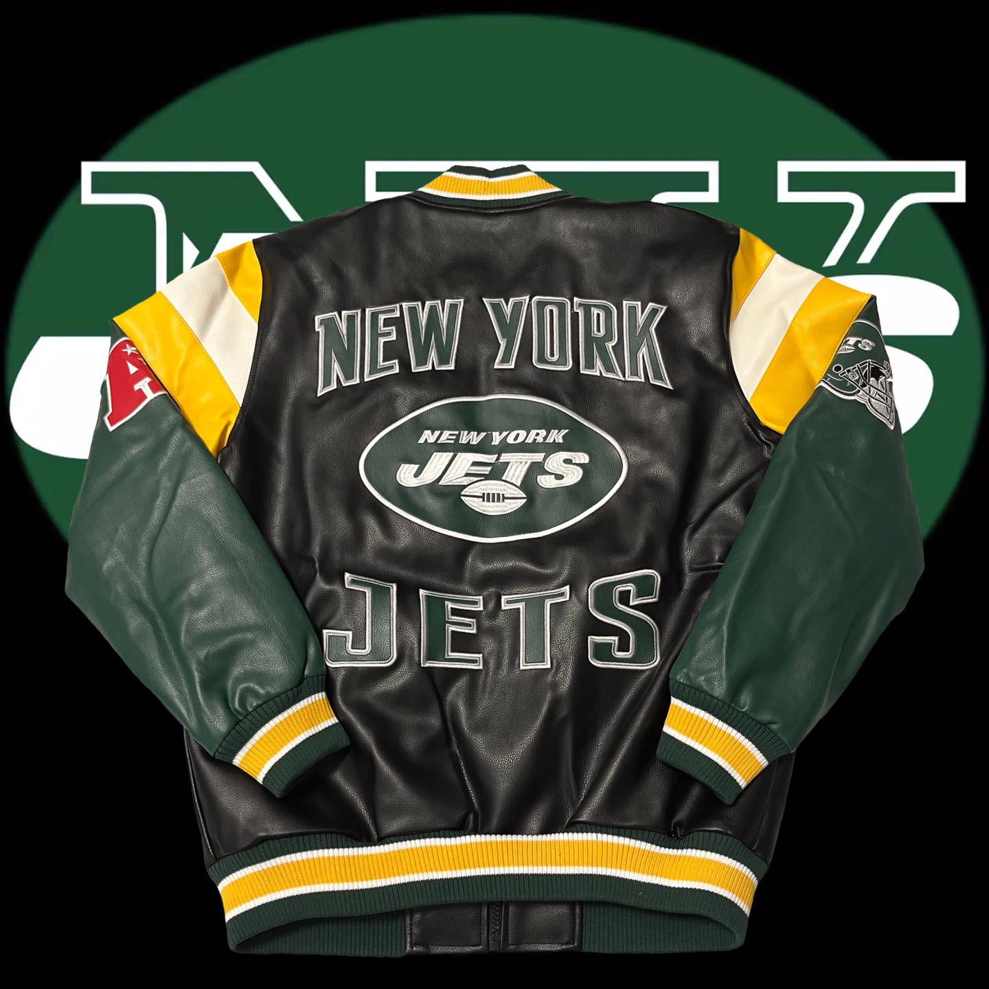 LEE & NASA| N## | LIONS 🦁 | FALCONS 🦅 | JET🛩
